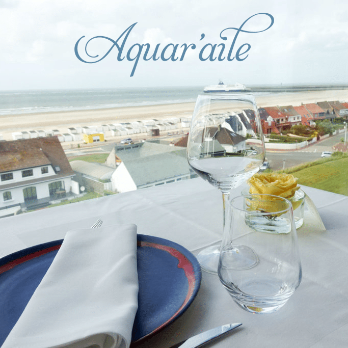 AquarAile_MrGoodfish
