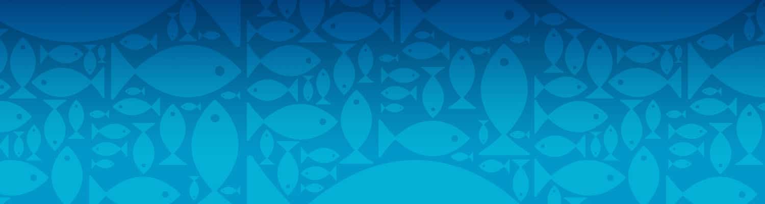 MRGF_header | Mr.Goodfish