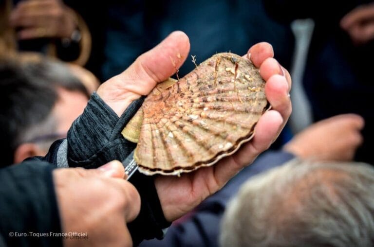 Scallop Festival