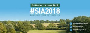 SIA2018_MrGoodfish