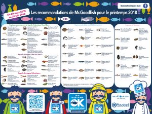 poster Printemps 2018|MrGoodfish