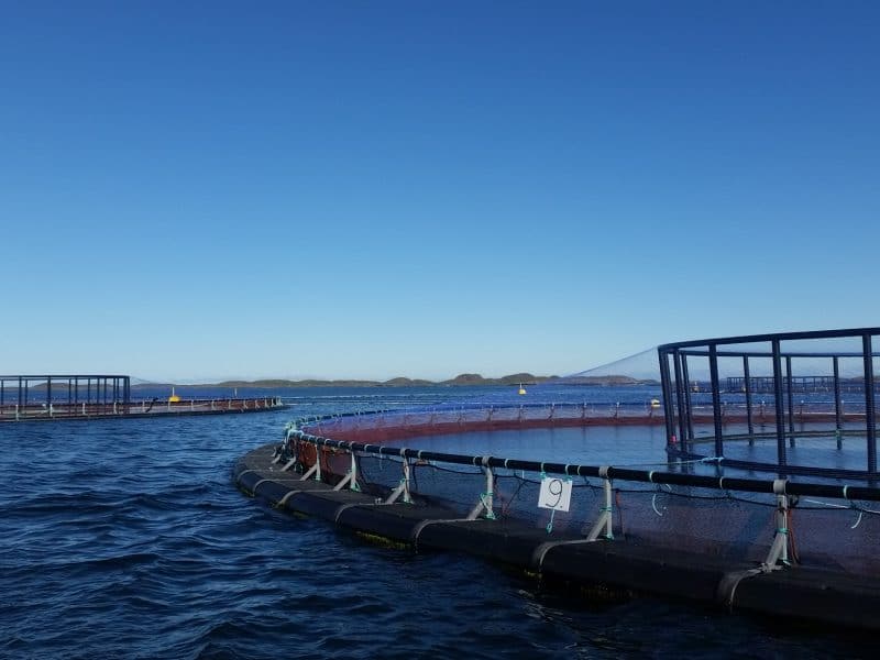 Aquaculture|MrGoodfish