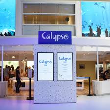 Le Calypso_Nausicaa|MrGoodfish