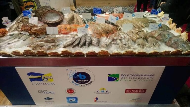 How can you tell if seafood is fresh?