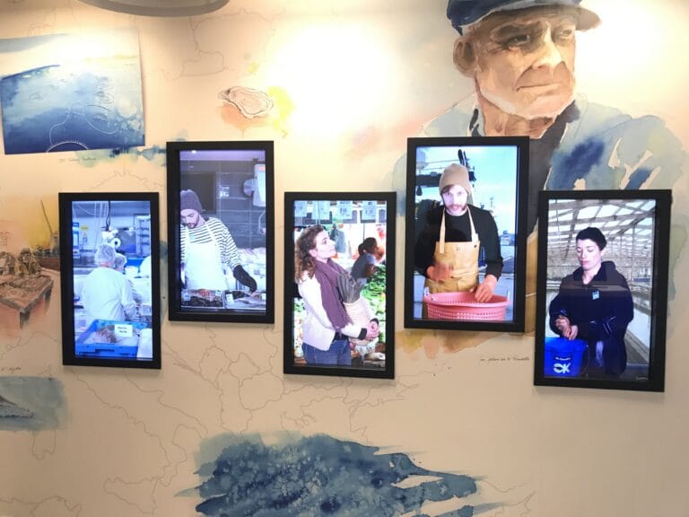 New Mr.Goodfish tools: an exhibition and videos