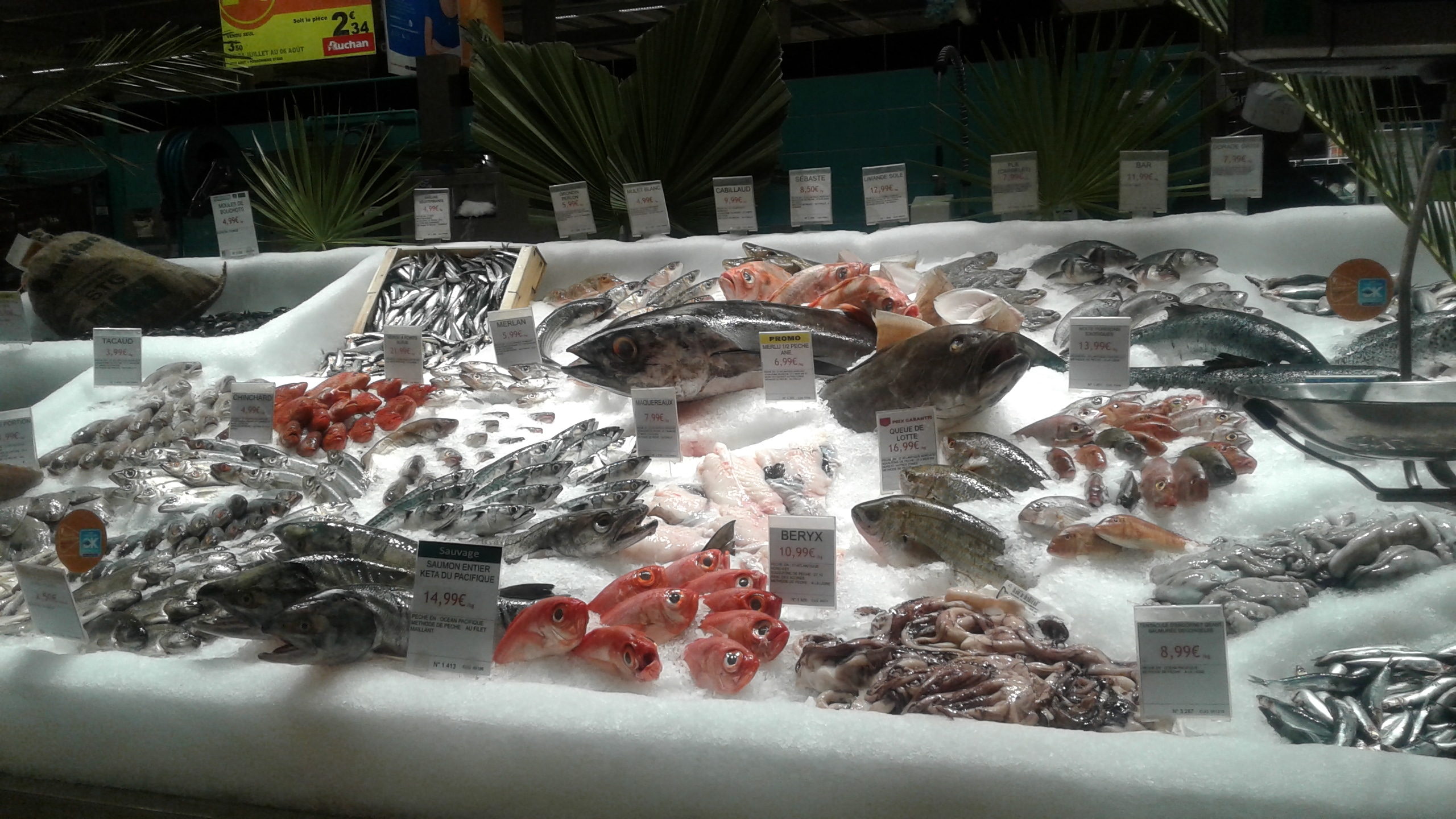 Etal poissonnerie Auchan