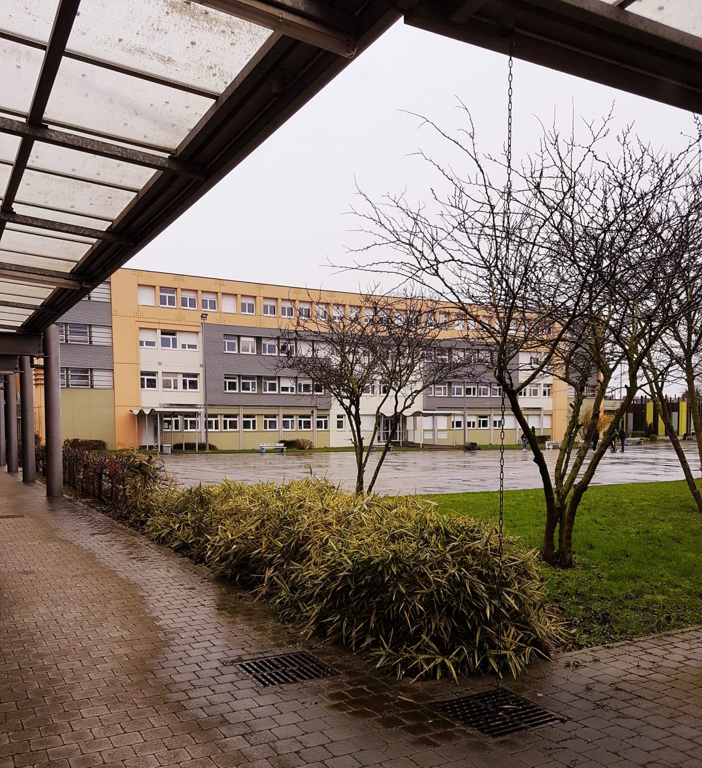 Collège JEAN ZAY DE LENS  Mr.Goodfish