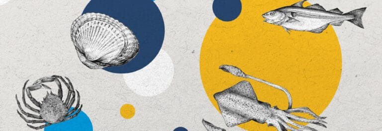 News: The Mr.Goodfish Cooking Contest