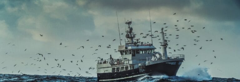 Balancing Fishing and Ecology