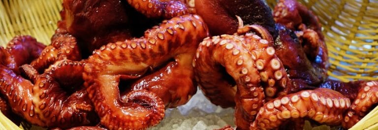 The Terroirs Festival & Seafood Expo Barcelona