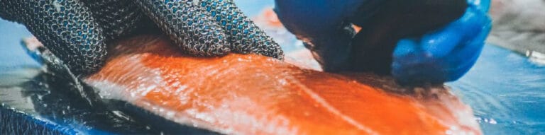 COFIMA: A Company’s Vision