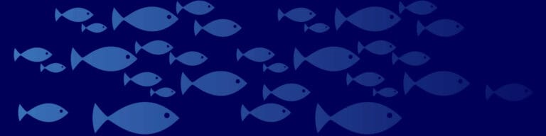 La pêche électrique : une technique anti-responsable qu’il faut interdire
