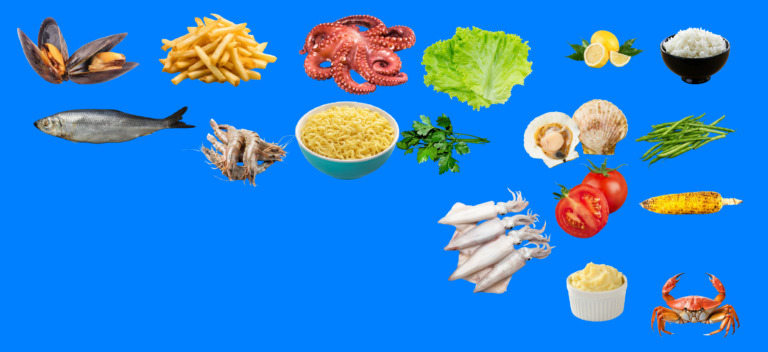 Mr.Goodfish3.0 – Scénario pédagogique pour les 7 à 8 ans