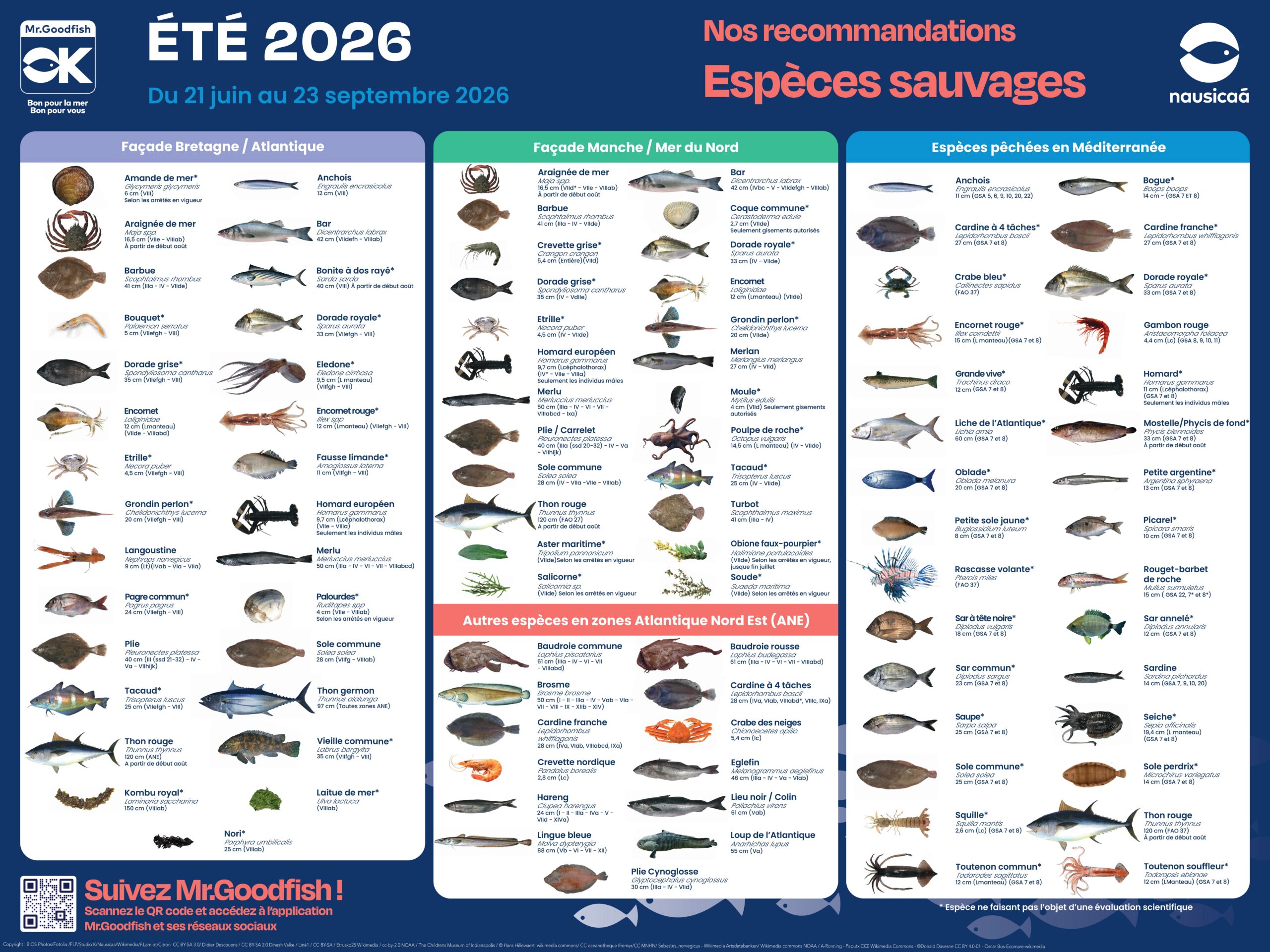MGF-Poster-especes-ETE-2026-scaled.jpg