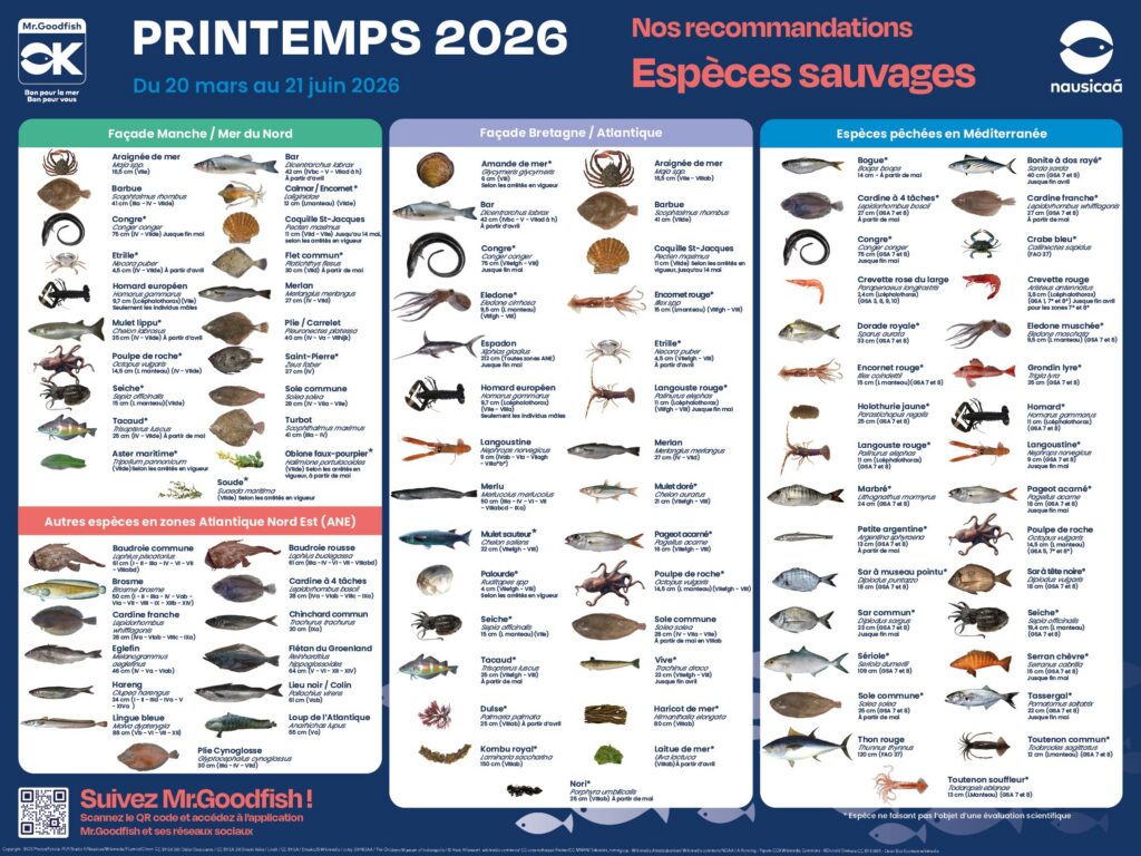 poster des recommandations Mr.Goodfish pour le printemps 2026 par façade maritime avec les photos des espèces