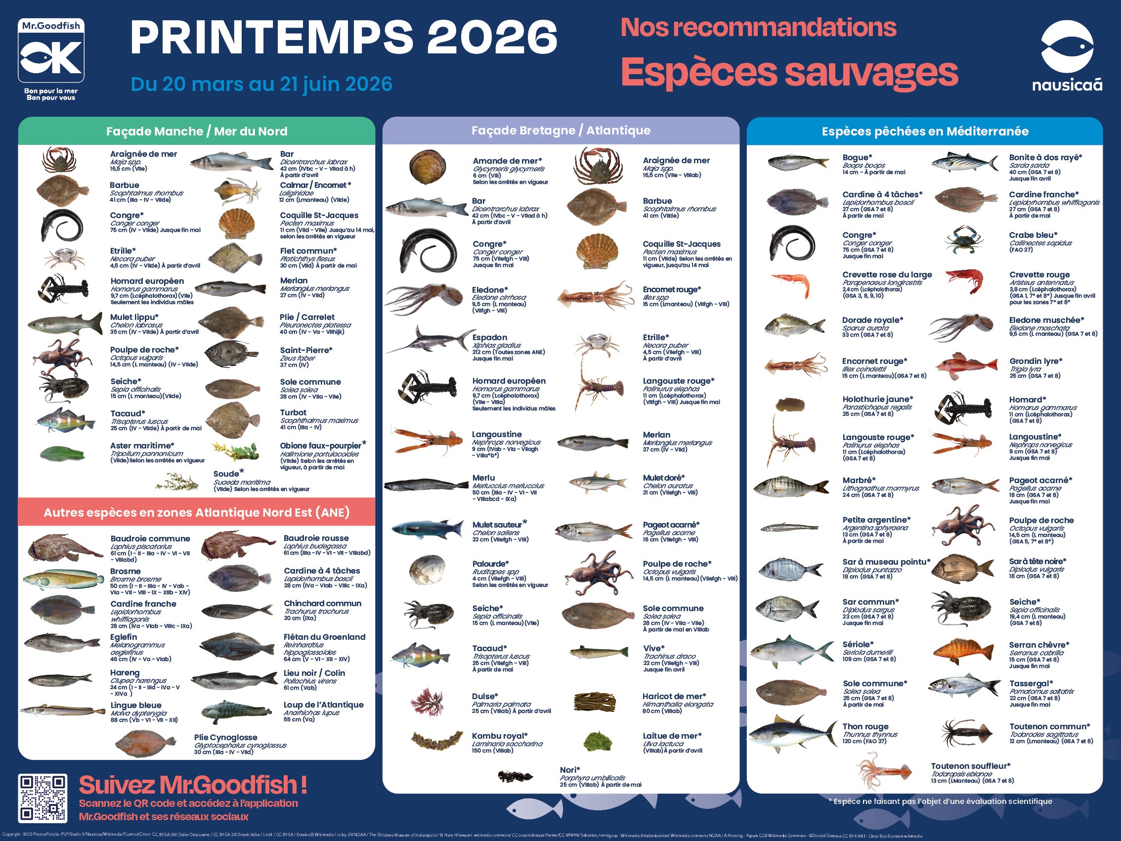 Poster Mr.Goodfish printemps 2026