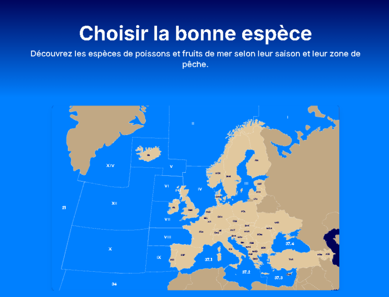 Une nouvelle appli et un nouveau site pour Mr.Goodfish !