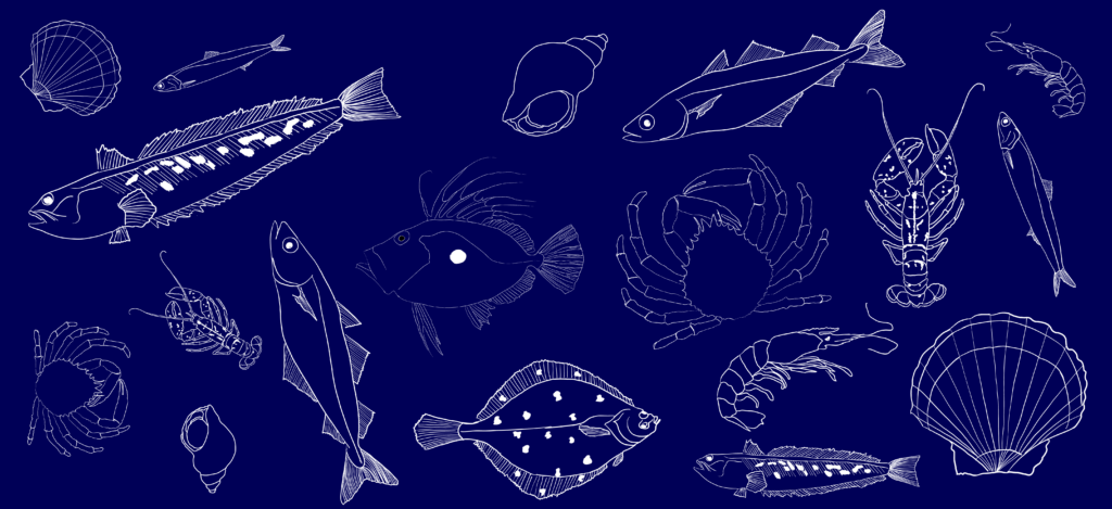 Partagez votre recette avec des produits de la mer issus de la pêche durable