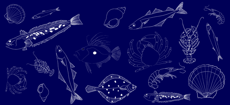 Share your Sustainable Seafood Recipe