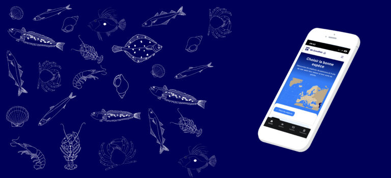 World Maritime Day: Free app helps Europeans make more sustainable seafood choices