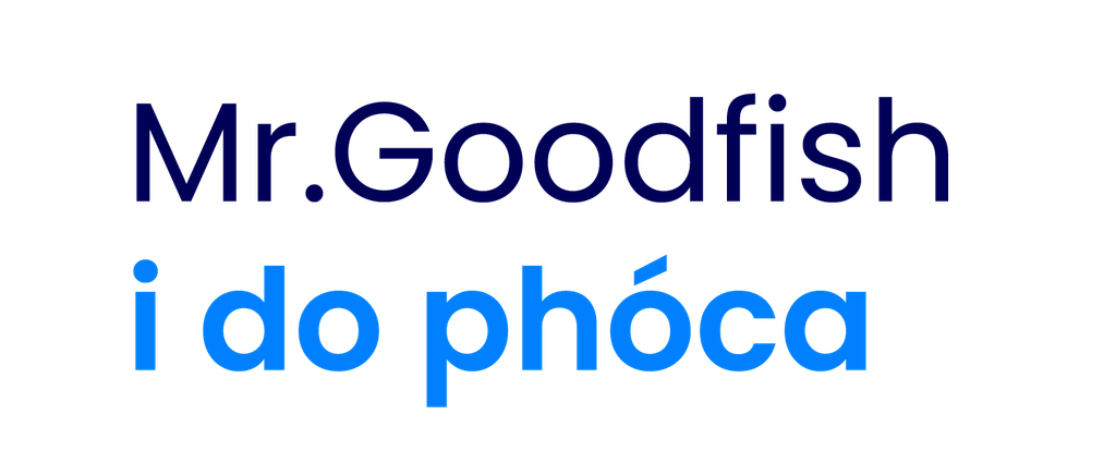 Mr.Goodfih dans votre poche IRLANDAIS